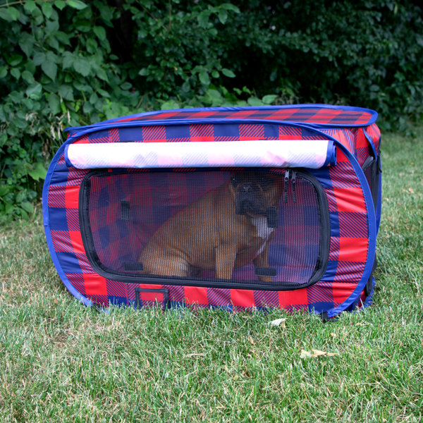 Tucker Murphy Pet™ SPORT PET Large Plaid Pop Open Kennel Wayfair